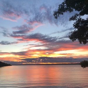 Meet your Posher, Audrey